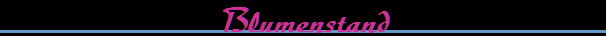 Blumenstand