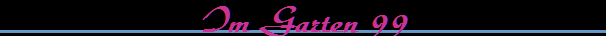 Im Garten 99